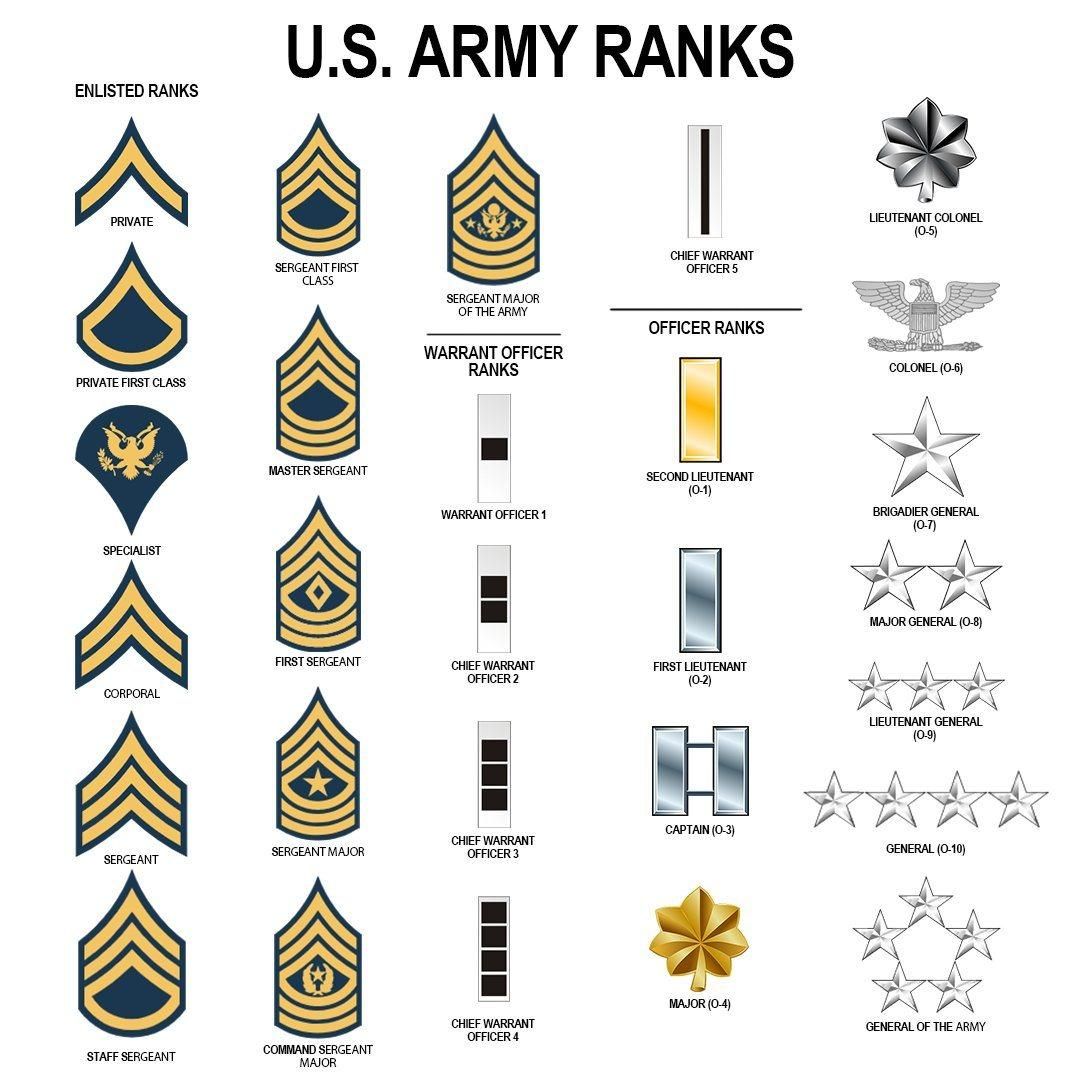 ALPINE REWARDS LLC